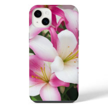 Blume aus weißer und rosa Lilie