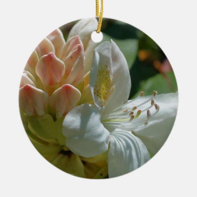 Blume Azalea Keramik Ornament (Vorne)