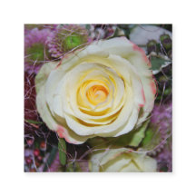 Blume
