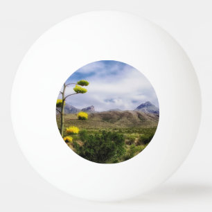 Blume Bergpark Naturpark Reben Blätter Geblüht Tischtennisball