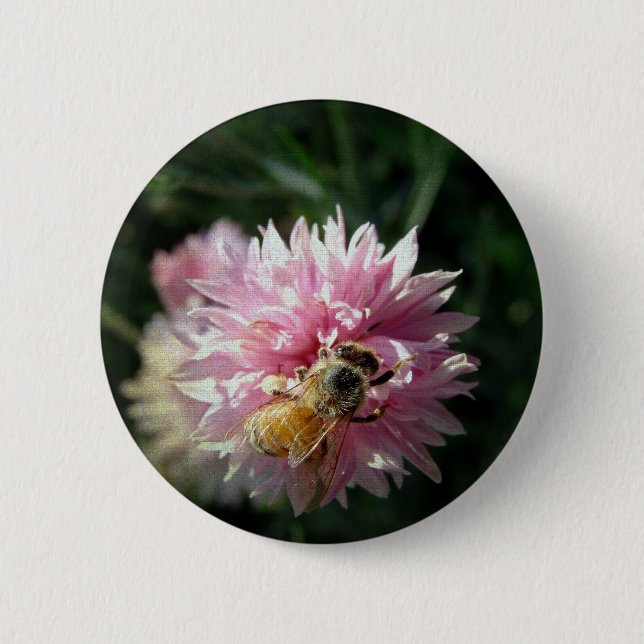 Blume Bienen und Rosa Button (Vorderseite)