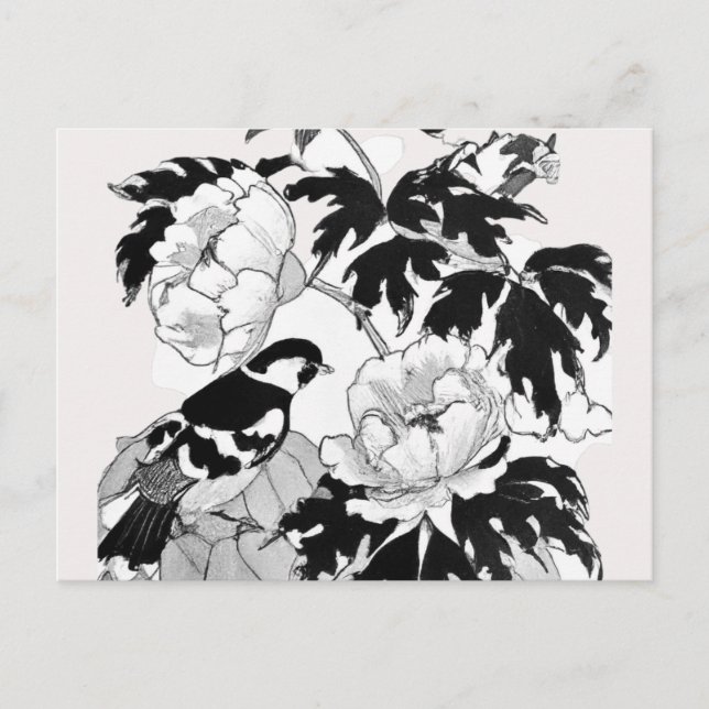 Blume Bird Black und White Postcard Postkarte (Vorderseite)