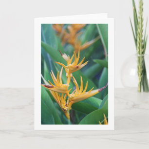 Blume (Bird of Paradise) Blankarte Karte