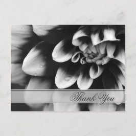 Blume Black and White Dahlia Danke Postkarte