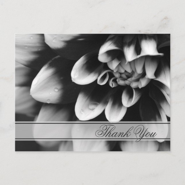 Blume Black and White Dahlia Danke Postkarte (Vorderseite)