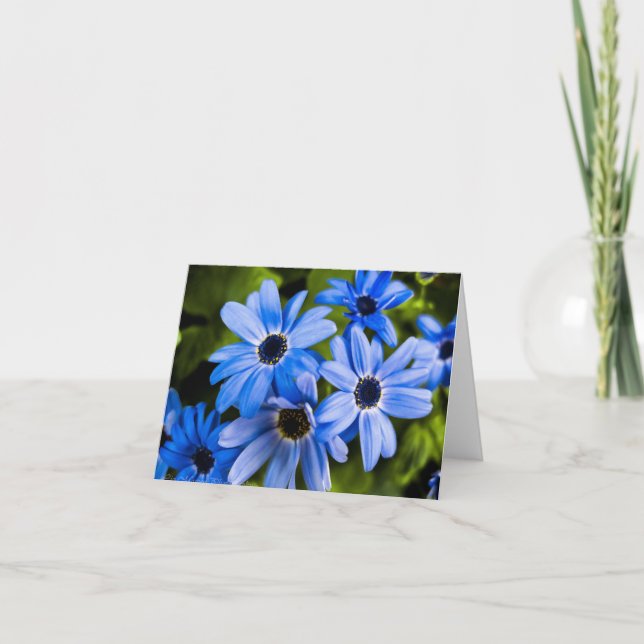 Blume Blank Notecard Dankeskarte (Vorderseite)