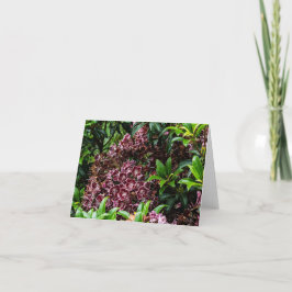 Blume Blank Notecard Dankeskarte