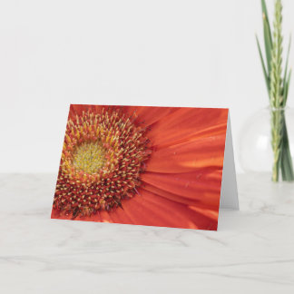 Blume Blank Notecard Dankeskarte