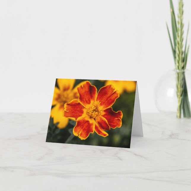 Blume Blank Notecard Dankeskarte (Vorderseite)