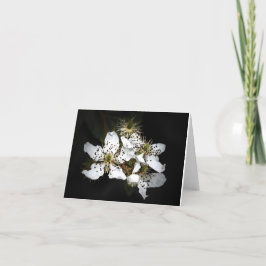 Blume Blank Notecard Dankeskarte