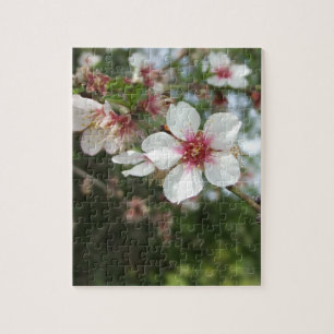 Blume Blossom Puzzle