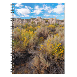 Blume Blühende Sagebrush Kalifornien Notizblock