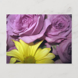 Blume blüht Daisy Rose Liebe Destiny Postkarte