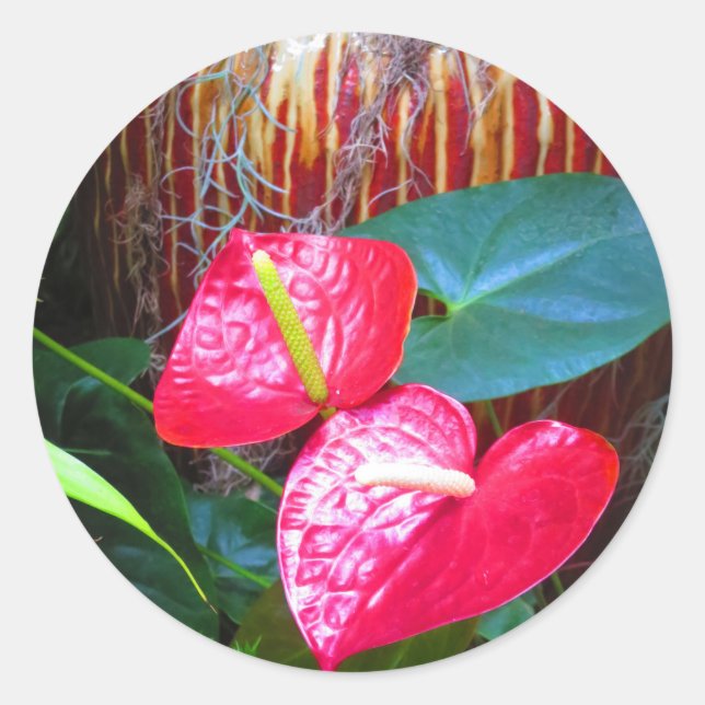 Blume Blumenbeete Fotos von Longwood Gardens Runder Aufkleber (Vorderseite)