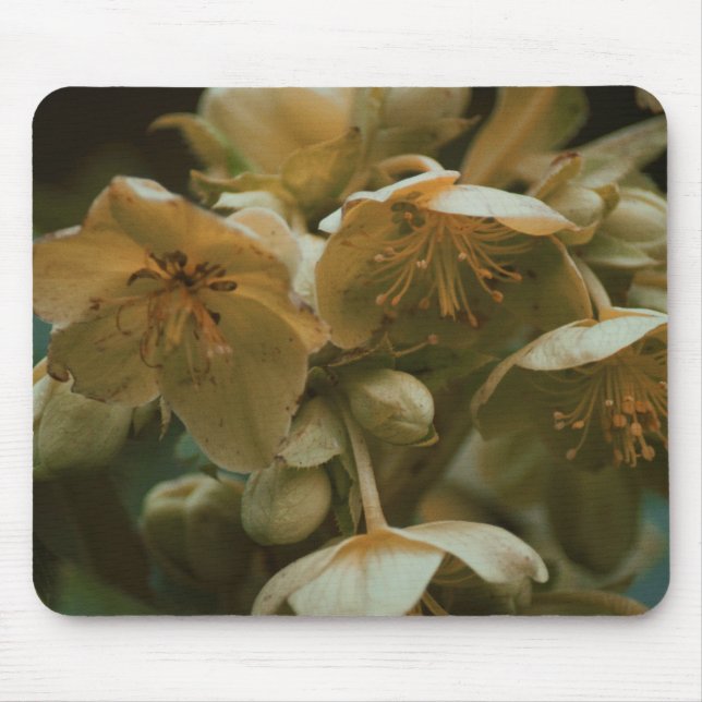 Blume Blumenmousepad Mousepad (Vorne)