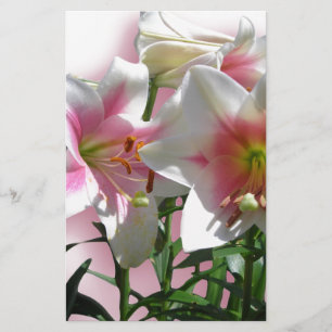 Blume Blüten Frühjahrsgarten Liebe Dusche Party Briefpapier