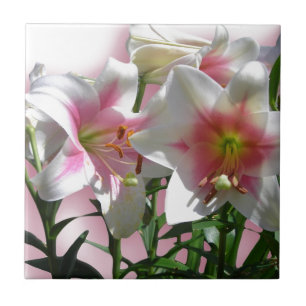 Blume Blüten Frühjahrsgarten Liebe Dusche Party Fliese