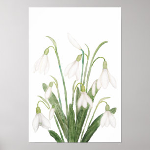 Blume botanische Aquarellmalerei Poster