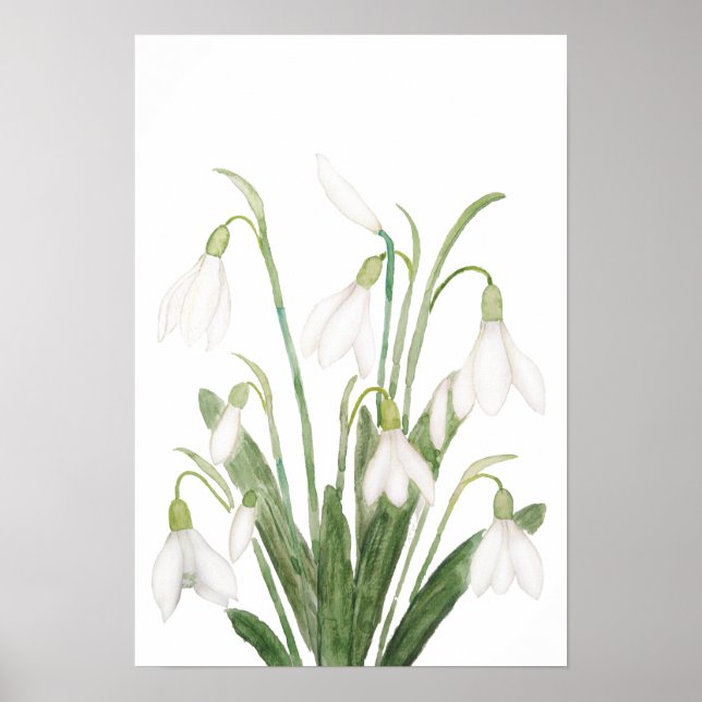 Blume botanische Aquarellmalerei Poster (Vorne)