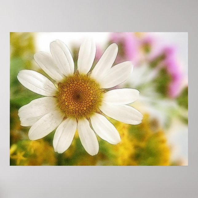 Blume Bouquet - White Daisy Poster (Vorne)