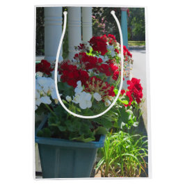 Blume Box Geraniums - Martha's Vineyard Mittlere Geschenktüte