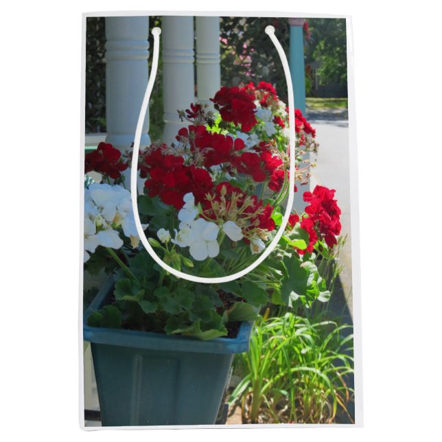 Blume Box Geraniums - Martha's Vineyard Mittlere Geschenktüte (Vorderseite)