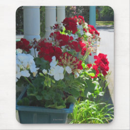 Blume Box Geraniums - Martha's Vineyard Mousepad