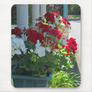 Blume Box Geraniums - Martha's Vineyard Mousepad