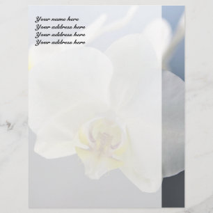 Blume Briefbogen