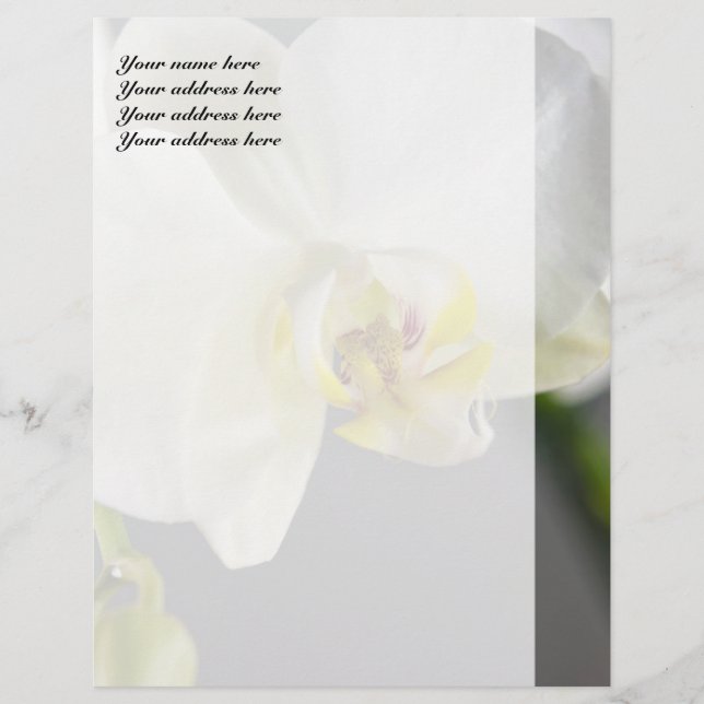 Blume Briefbogen (Vorderseite)