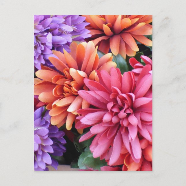 Blume Bursts Postkarte (Vorderseite)
