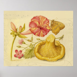 Blume Butterfly Mushroom Wasserfarbe Malerei Poster