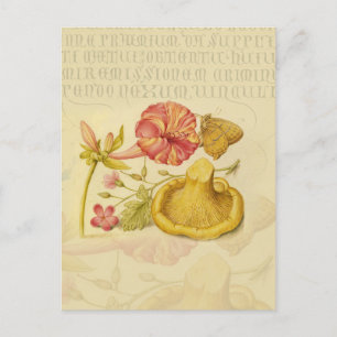 Blume Butterfly Mushroom Wasserfarbe Malerei Postkarte