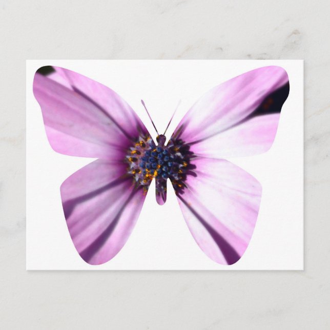 Blume Butterfly Postkarte (Vorderseite)