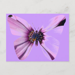 Blume Butterfly Postkarte
