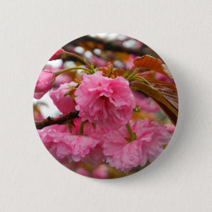 Blume Button