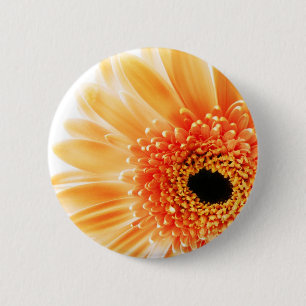 Blume Button
