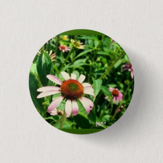 Blume Button