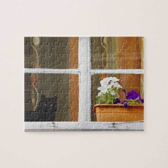 Blume by window, Sighisoara, Rumänien Puzzle (Horizontal)