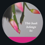 Blume Cactus Christmas Bloom Runder Aufkleber<br><div class="desc">Eine Weihnachtskaktus-Pflanze mit separatem Text auf einem Aufkleber. Der rosa Hintergrund kann auf Wunsch geändert werden.</div>