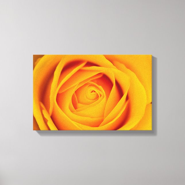 Blume Canvas Leinwanddruck (Vorderseite)