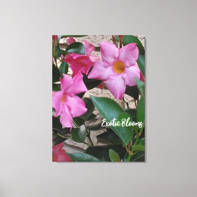 Blume Canvas Print Leinwanddruck (Vorderseite)