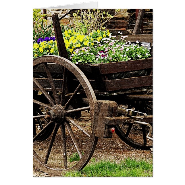 Blume Cart (Vorne)
