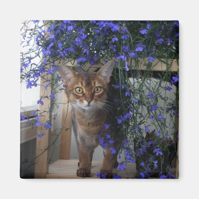 Blume Cat Magnet (Vorne)
