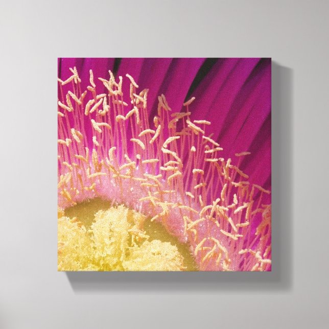 Blume Center Wrapped Canvas Leinwanddruck (Vorderseite)