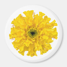 Blume Chemie Magnet Marigold