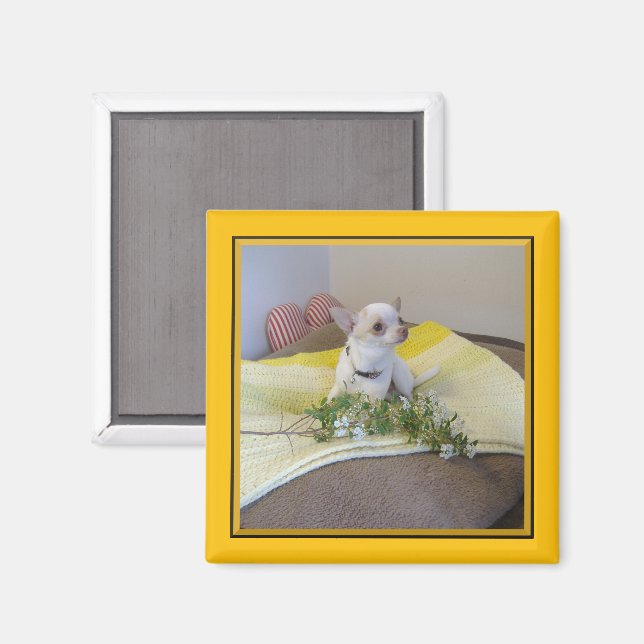 Blume Chihuahua Magnet (Vorderseite/Rückseite)