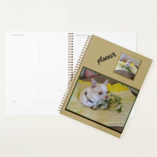 Blume Chihuahua Planner Planer