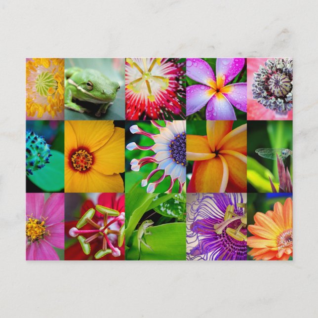 Blume Collage Garden Blumenblume Jeder Anlass Leer Postkarte (Vorderseite)