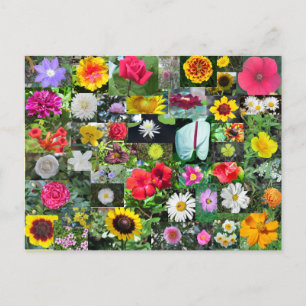 Blume Collage Postcard Postkarte